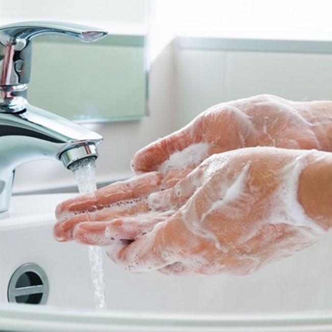Hand Washing Demonstration using Antibacterial Hand Soap.