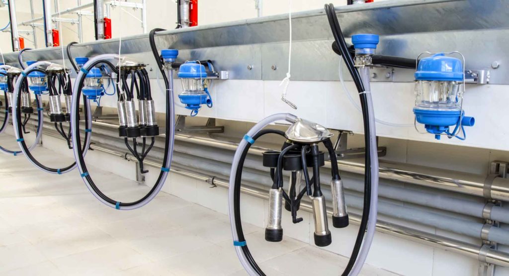 Milking Parlour Cluster Disinfection