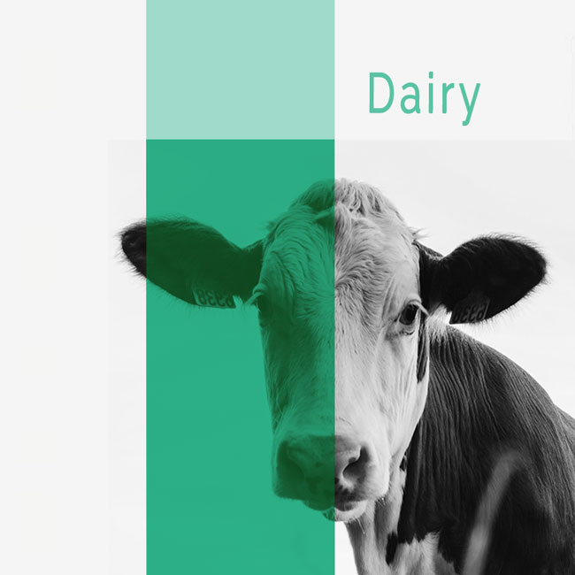 Chemical Solutions for the Dairy Industry Sector