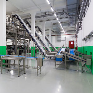 Gostain INT used as a Food Safe Surface Cleaner for food production surfaces.