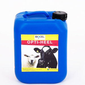 OPTI-HEEL Foot-bathing solution for the maintenance of hooves in cattle and sheep. Improve your Herds Hoof Health.