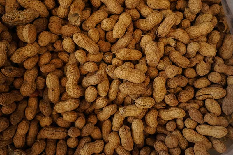 Allergen Eradication Cleaning & Validation