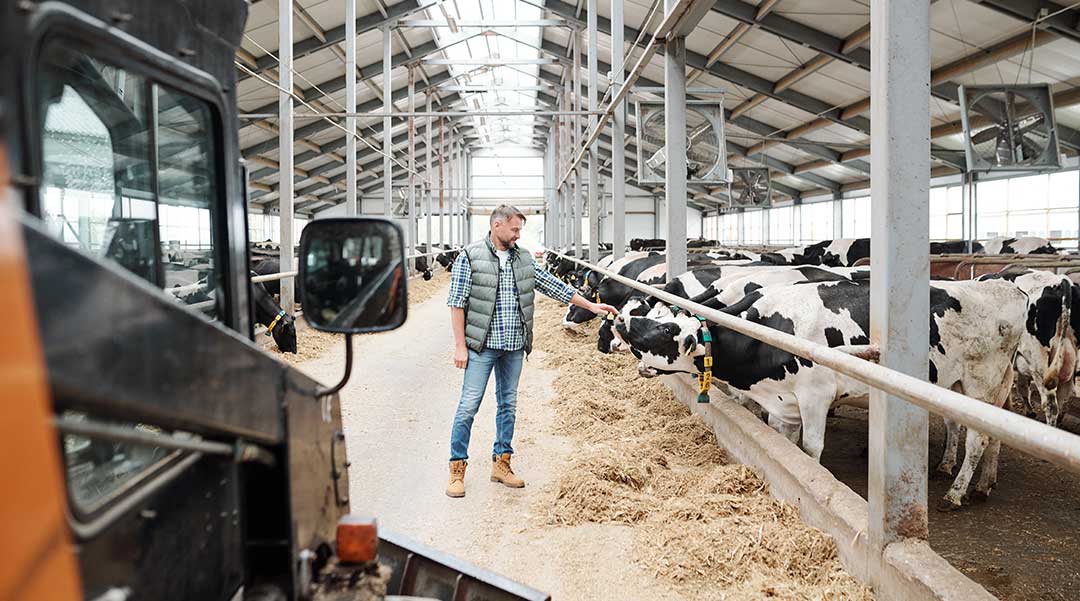 Dairy Farming Success Stories with CirCool Cold Wash Detergent