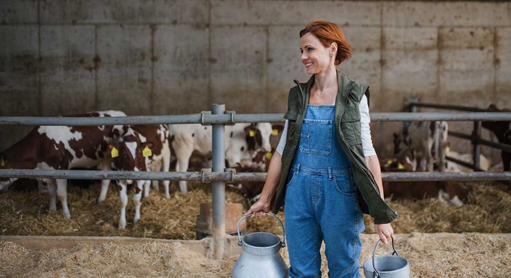 Woman working in a cow barn, showcasing sustainable dairy health solutions for improved animal care, mastitis control and herd immunity.