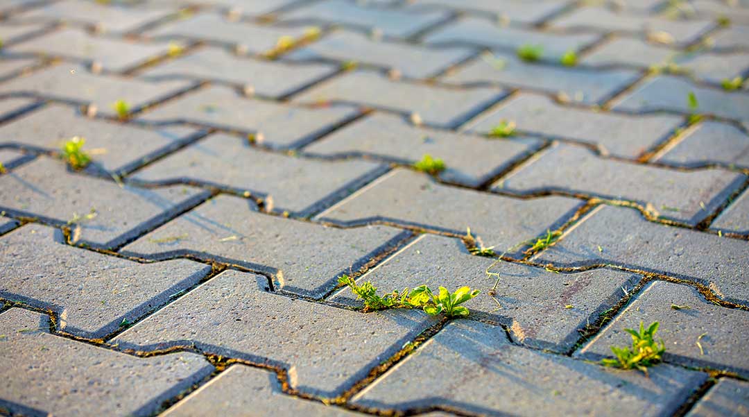 How to Choose the Best Concrete Cleaner for Your Outdoor Surfaces